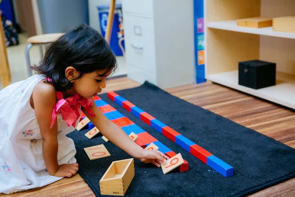 BT1B3944 - Primary Student Working BT1B3944 - Primary Student Working